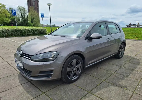 Volkswagen Golf cena 48500 przebieg: 127000, rok produkcji 2015 z Rzeszów małe 172